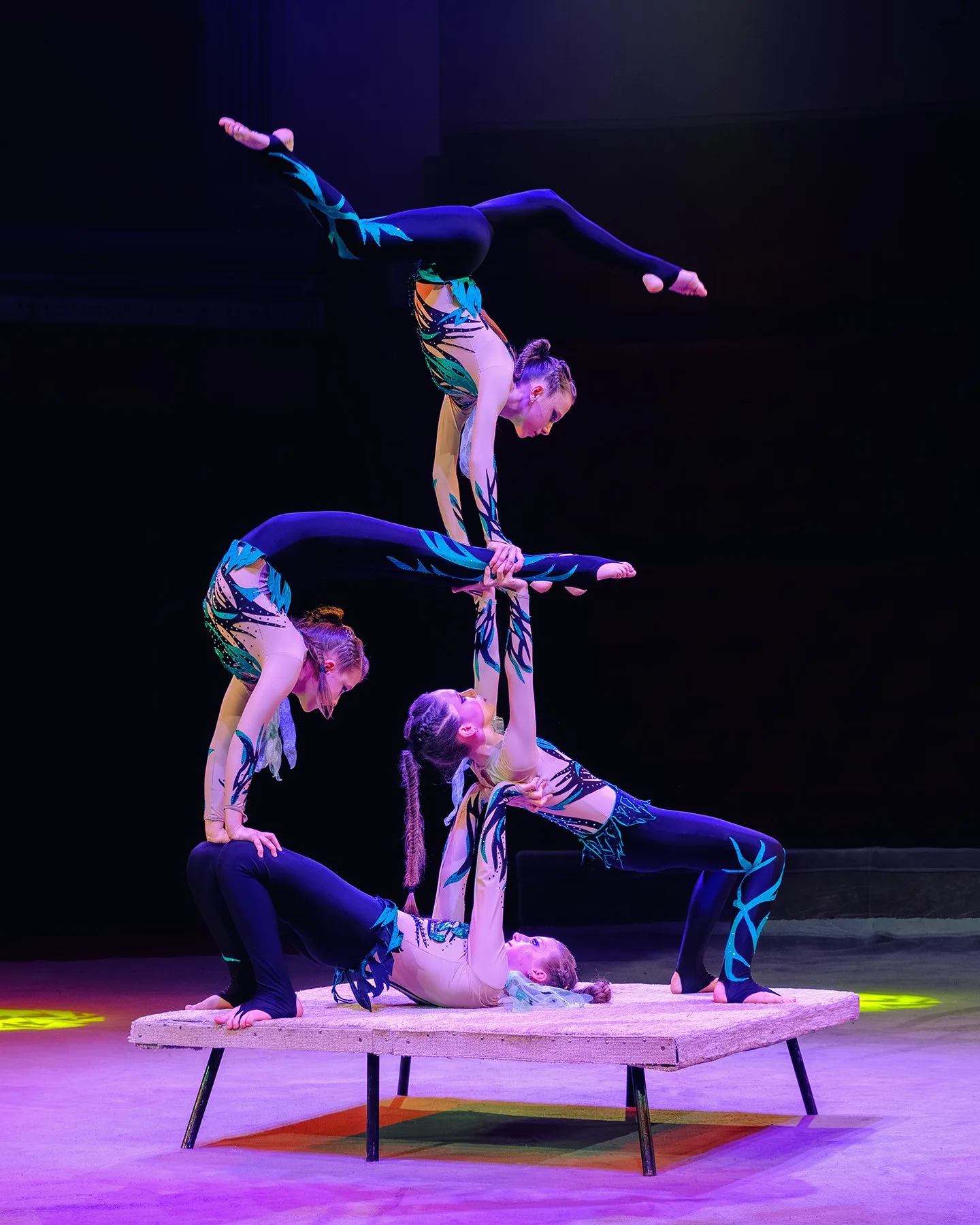 "ДивоЦирк": феєрія дитячих талантів. Враження Circus Life — 33